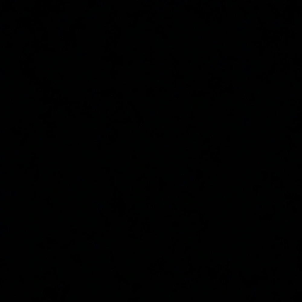 Meet your Posher, Isabelle